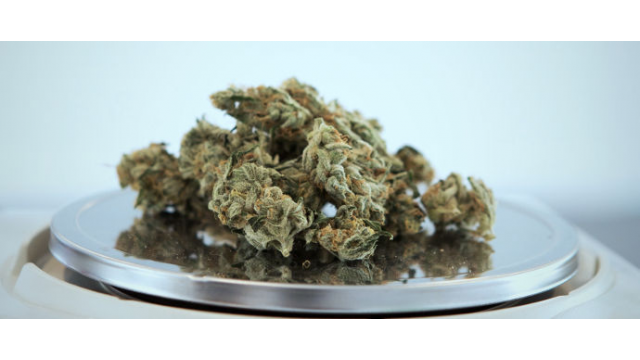 Las 10 mejores variedades de marihuana medicinales con CBD